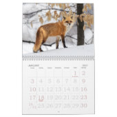 Kalender met Rode Vossen (Jan 2027)