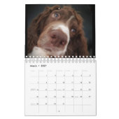 Kalender met spaniel (Mar 2027)