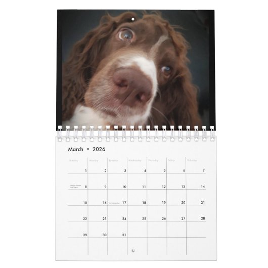 Kalender met spaniel (Mar 2026)