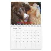 Kalender met spaniel (Feb 2026)