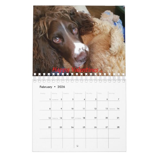 Kalender met spaniel (Feb 2026)