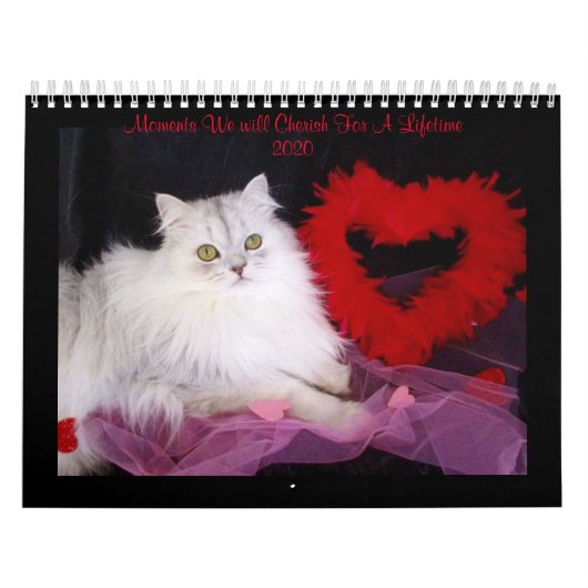 kalender met speciale momenten van iCatz (Hoes)