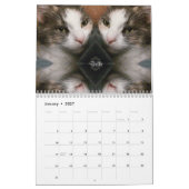 kalender met speciale momenten van iCatz (Jan 2027)