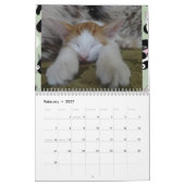 kalender met speciale momenten van iCatz (Feb 2027)