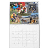 kalender met True Knight Tervurens puppy reviewen (Mar 2026)