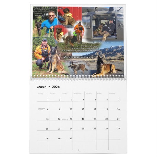 kalender met True Knight Tervurens puppy reviewen (Mar 2026)