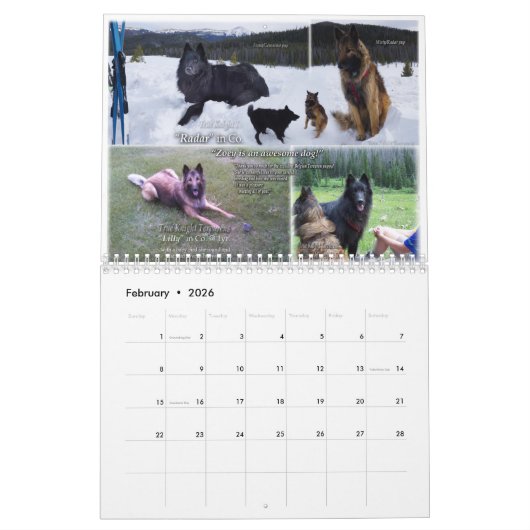 kalender met True Knight Tervurens puppy reviewen (Feb 2026)