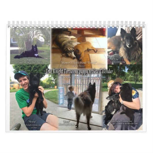 kalender met True Knight Tervurens puppy reviewen (Hoes)