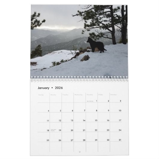 kalender met True Knight Tervurens puppy reviewen (Jan 2026)