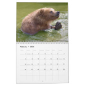 kalender met verschillende beren (Feb 2026)