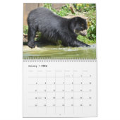 kalender met verschillende beren (Jan 2026)