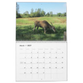 Kalender met Wilde Dieren (Mar 2027)