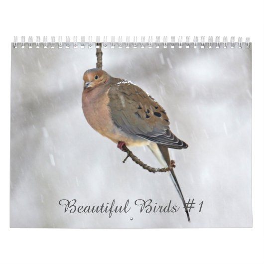 Kalender Mooie Vogels #1 (Hoes)