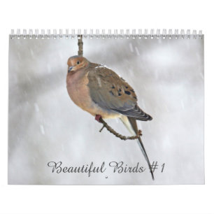 Kalender Mooie Vogels #1