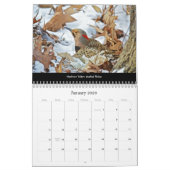 Kalender Mooie Vogels #1 (Jan 2026)