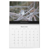 Kalender Mooie Vogels #1 (Mar 2026)
