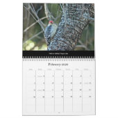 Kalender Mooie Vogels #1 (Feb 2026)