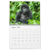 Kalender - Mountain Gorillas uit Rwanda (Feb 2027)
