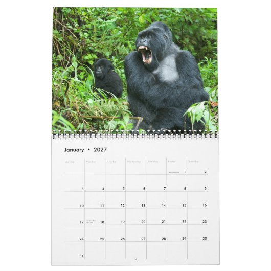 Kalender - Mountain Gorillas uit Rwanda (Jan 2027)