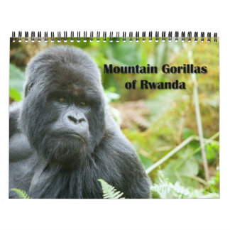 Kalender - Mountain Gorillas uit Rwanda