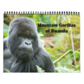 Kalender - Mountain Gorillas uit Rwanda (Hoes)