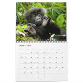 Kalender - Mountain Gorillas uit Rwanda (Mar 2026)
