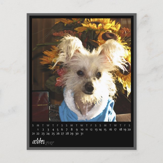 kalender oktober 2012 (Voorkant)