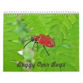 Kalender - omslachtig over bugs (Hoes)