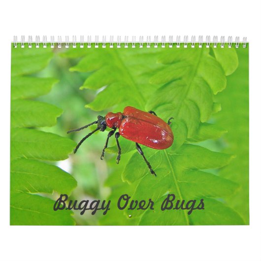 Kalender - omslachtig over bugs (Hoes)