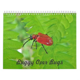 Kalender - omslachtig over bugs