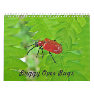 Kalender - omslachtig over bugs