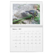 Kalender - omslachtig over bugs (Feb 2027)