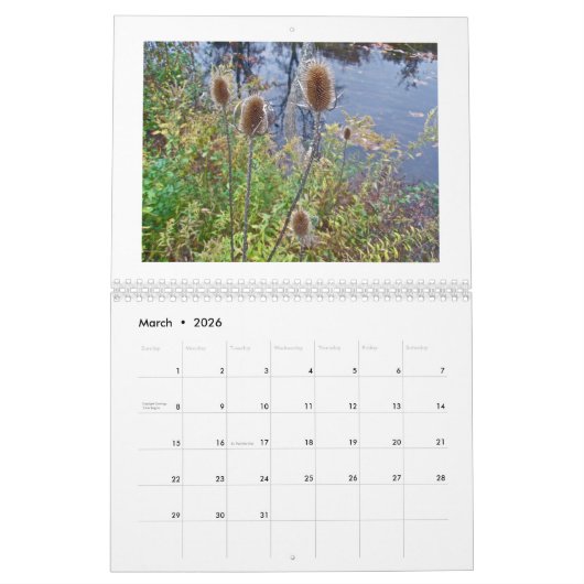 Kalender - Onkruid Zaden & Bessen (Mar 2026)