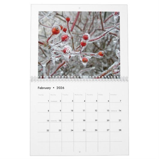 Kalender - Onkruid Zaden & Bessen (Feb 2026)