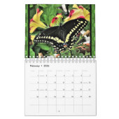 Kalender - Oostelijke zwarte zwaluwstaart vlinders (Feb 2026)