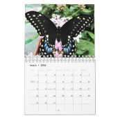 Kalender - Oostelijke zwarte zwaluwstaart vlinders (Mar 2026)