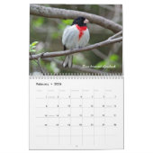 Kalender - op zoek naar vogels? (Feb 2026)