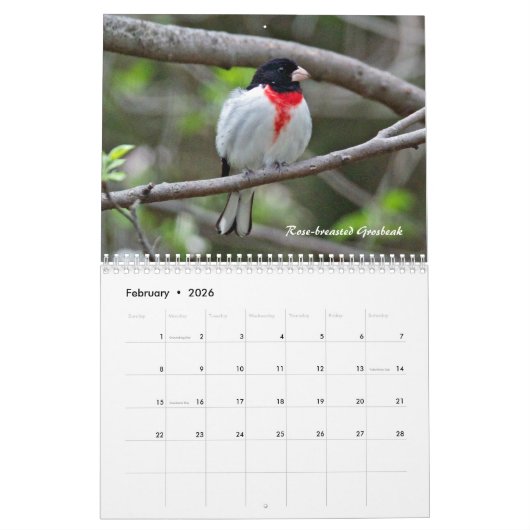 Kalender - op zoek naar vogels? (Feb 2026)
