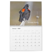 Kalender - op zoek naar vogels? (Jan 2027)