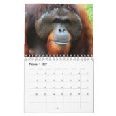 Kalender-Orangutan Kalender (Feb 2027)