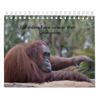 Kalender-Orangutan Kalender