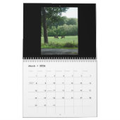 Kalender - paarden (Mar 2026)