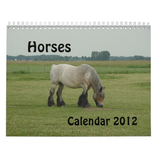Kalender - paarden (Hoes)