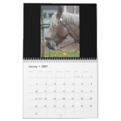 Kalender - paarden (Jan 2027)