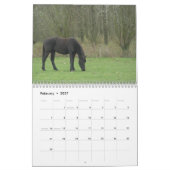 Kalender - paarden (Feb 2027)