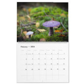 Kalender: paddenstoelen, Schrooms, Fungi Kalender (Feb 2026)