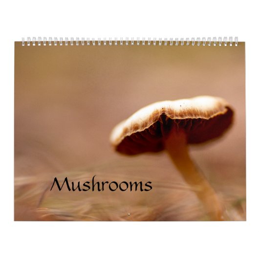 Kalender: paddenstoelen, Schrooms, Fungi Kalender (Hoes)