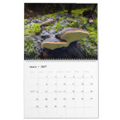 Kalender: paddenstoelen, Schrooms, Fungi Kalender (Mar 2027)
