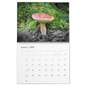 Kalender: paddenstoelen, Schrooms, Fungi Kalender (Jan 2027)
