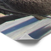 Kalender - Pelikanen op Pier 2024 Poster (Hoek)